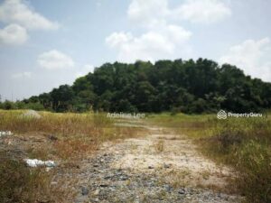 Gelang Patah Agricultural Land For Sales