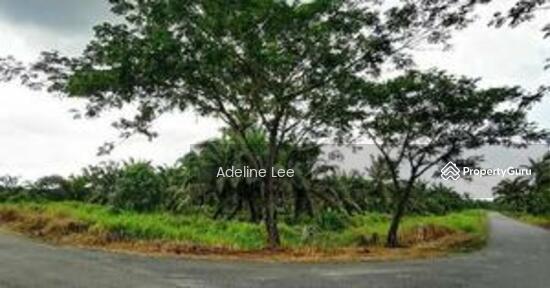 2 Acres Agriculture Land For Sales In Pontian