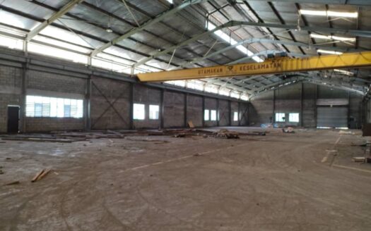 senai-land-four-acres-crane