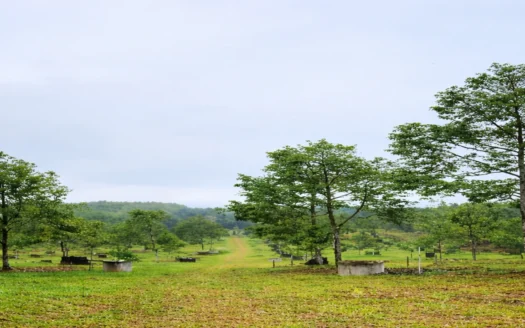 ulu-choh-industrial-land